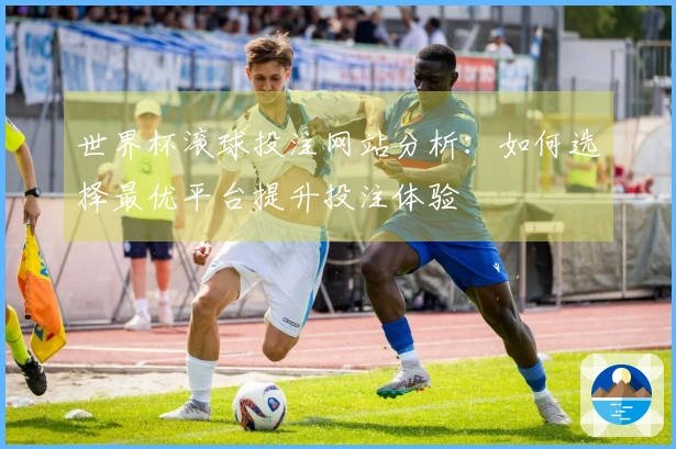 世界杯滚球投注网站分析：如何选择最优平台提升投注体验