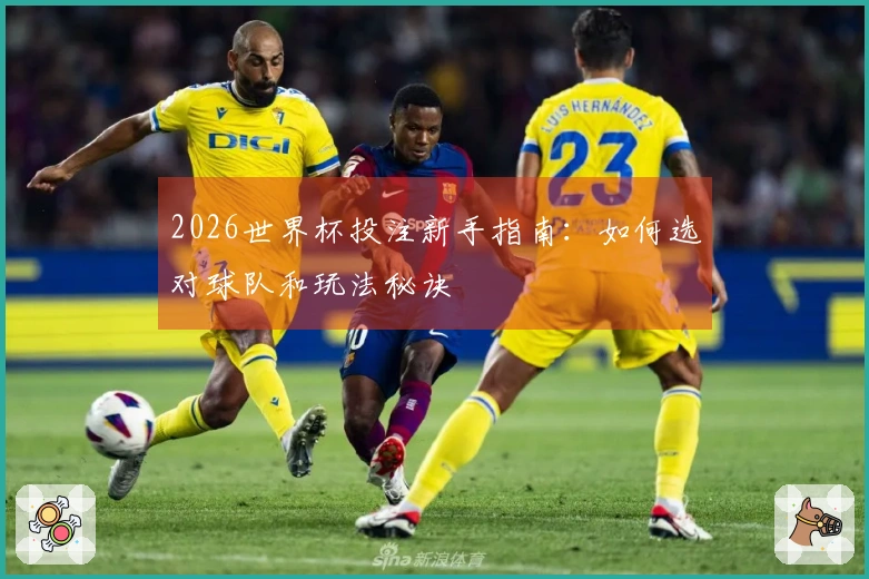 2026世界杯投注新手指南：如何选对球队和玩法秘诀