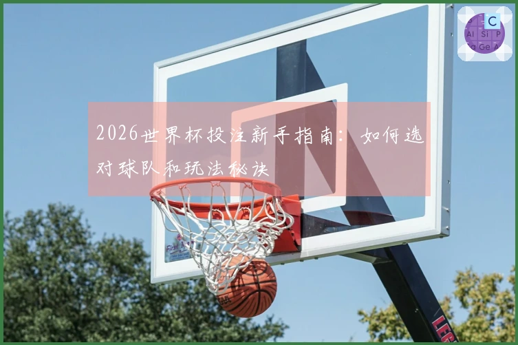 2026世界杯投注新手指南：如何选对球队和玩法秘诀