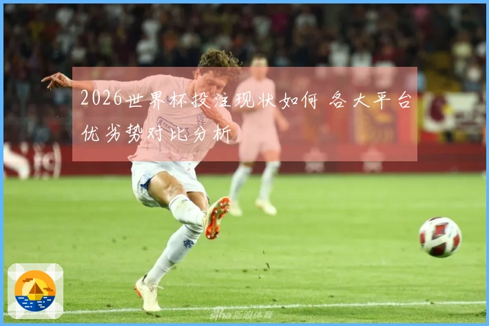 2026世界杯投注现状如何 各大平台优劣势对比分析